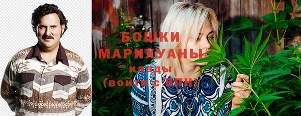 прущая мука Бородино
