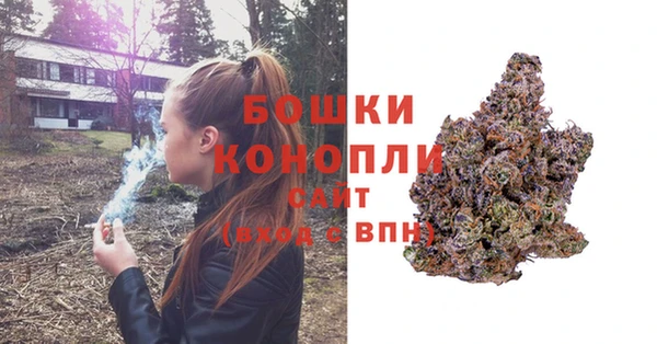 mdpv Бронницы