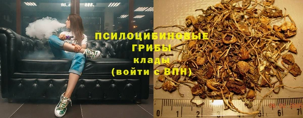 прущая мука Бородино
