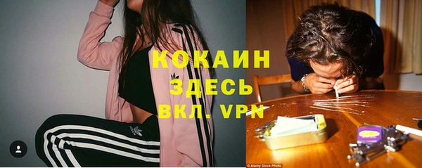 бошки Богородицк